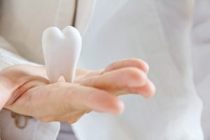 Hand Holding a Large White Tooth Replica
